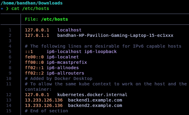 Placeholder: Local hosts file entries for both backend domains